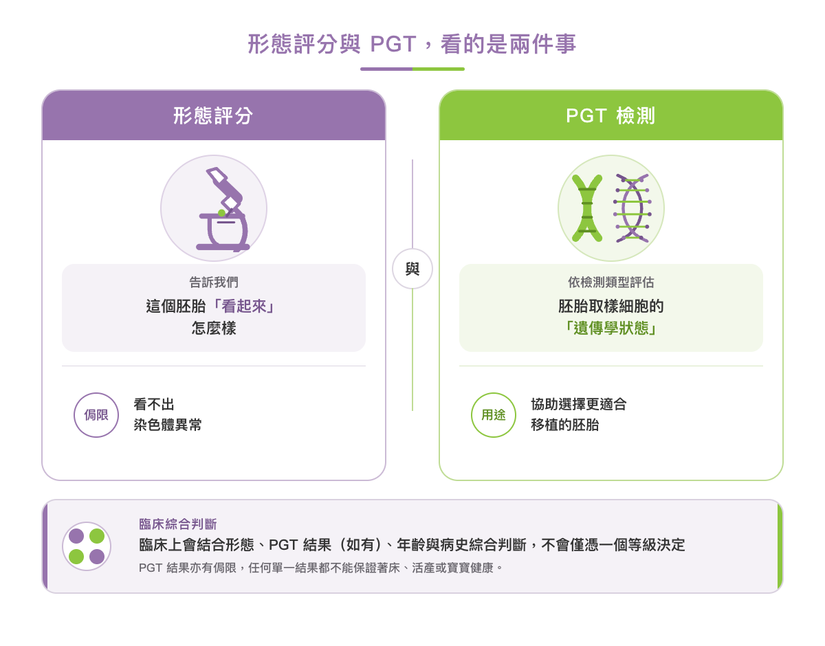 胚胎形態評分與 PGT-A 的差別：形態評分看外觀，PGT-A 看染色體遺傳學狀態