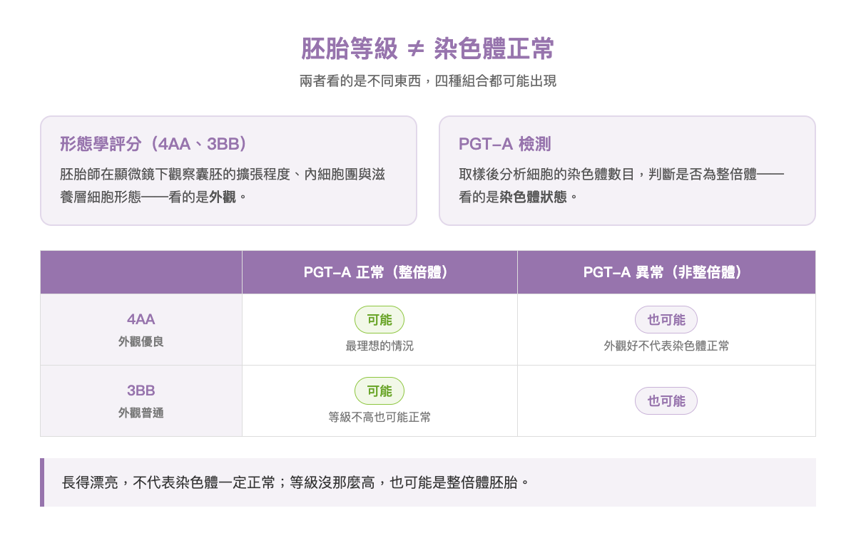 胚胎等級4AA與PGT-A染色體結果對照示意圖 胚胎等級4AA與PGT-A染色體結果對照示意圖